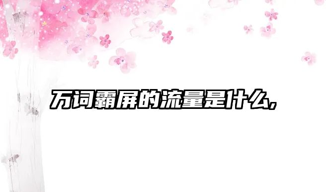 萬(wàn)詞霸屏的流量是什么,
