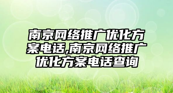 南京網絡推廣優(yōu)化方案電話,南京網絡推廣優(yōu)化方案電話查詢